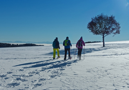 Schneeschuhwandern