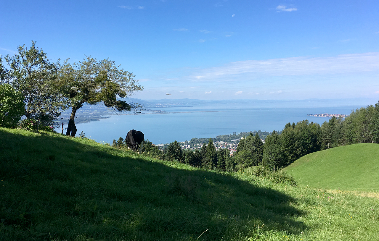 Ausblick über den Bodensee und auf die Insel Lindau